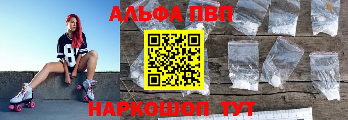 Альфа ПВП СК КРИС Магадан