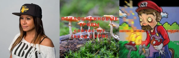 jwh Абаза