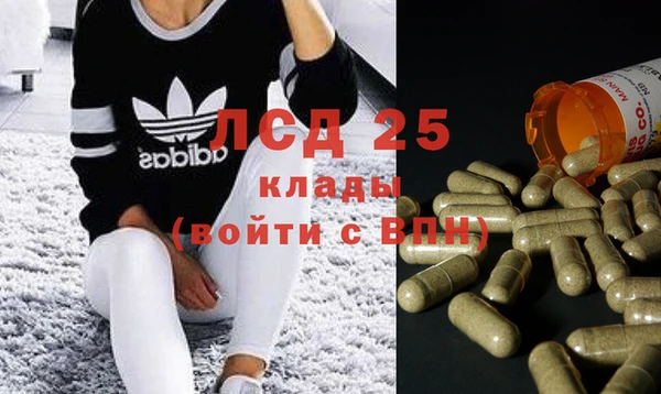 2c-b Пересвет