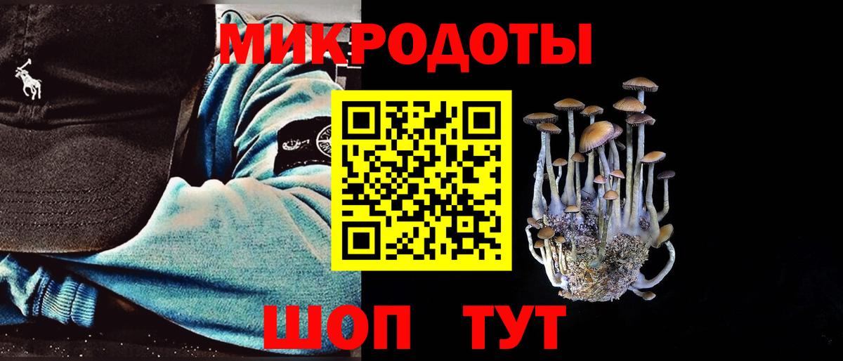 закладка  Вход с VPN  Псилоцибиновые грибы MAGIC MUSHROOMS  Магадан  Галлюциногенные грибы MAGIC MUSHROOMS 