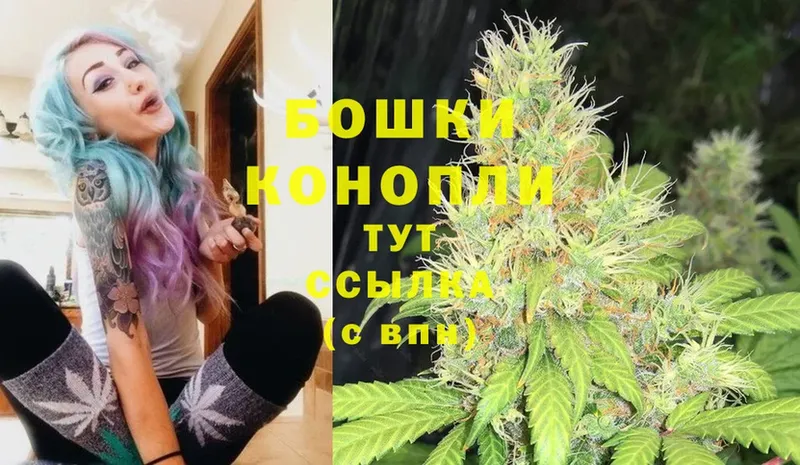 где купить наркотик  Магадан  Бошки марихуана Ganja 